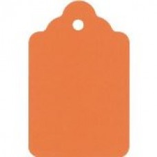 Orange Tag / Orange tag(temporary modification) with vinyl